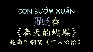 越南版翻唱 春天的蝴蝶（中國恰恰）漢喃歌詞 喃漢對譯 | CON BƯỚM XUÂN - Hô Quang Hiếu | Chữ Nôm Hán Nôm Lyrics 越南歌曲 𡨸喃 喃字