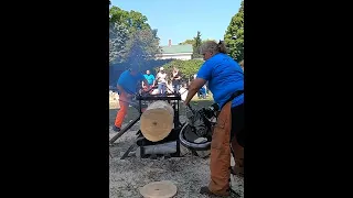 Incredible chainsaw racing #shorts #viral #chainsaw #race