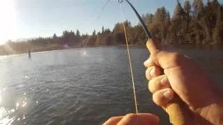 GoPro Studio - Salmon Fly Fishing