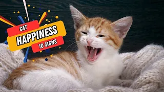 10 Signs You're Keeping Your OUTDOOR Cat PERFECTLY Happy (#10 IS THE ULTIMATE SIGN)