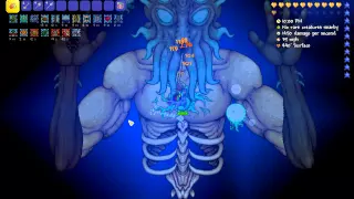 Terraria 1.3.0.8: Expert Moon Lord kill (Pure melee)