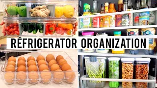 REFRIGERATOR ORGANIZATION 💡 IDEAS & PRODUCTS | Clean, Declutter & Organize with Me! | Miss Louie