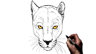 How To Draw A Panther | Step By Step