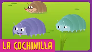 ¡MIRA LA COCHINILLA! - Episodio Completo l El Mundo de Luna!