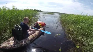 озеро Вожанское. река Горюн . река Чагода. река Чагодоща часть 1я