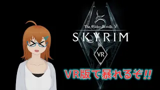 【SkyrimVR】VR版Skyrimでやりたい放題！