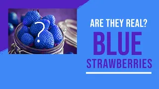 Are Blue Strawberries Real?