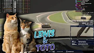 Max Verstappen Calls His Cats Lewis And Toto...