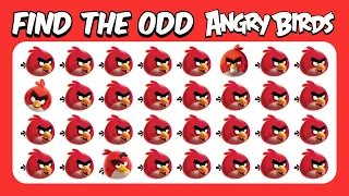 Find the ODD One Out - Angry Birds Edition 🐤💣🐷