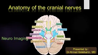 6-Anatomy of the cranial nerves