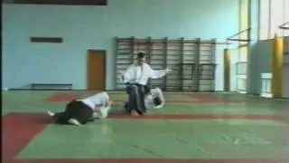 Aikido Seishinkai Айкидо Сэйсинкай 2