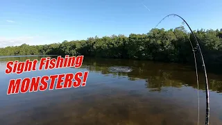 Sight Fishing Redfish and Snook In Sanibel Island/JN Ding Darling Park!