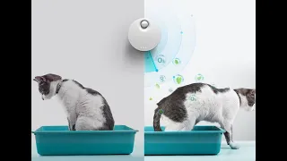 Автоматический освежитель воздуха, поглотитель запаха животных, уничтожитель запахов кошек