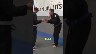 Steven Seagal Aikido Techniques IRL