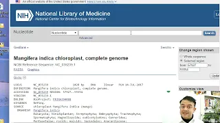 Quickly construct phylogenetic trees using MEGA 11