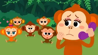 Five Little Monkeys ♪ | Learn Numbers | Animal Songs | Tidi Songs for Children ★TidiKids