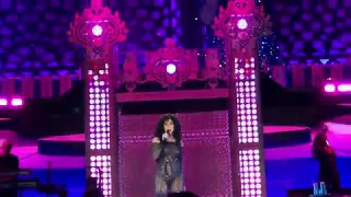 If I Could Turn Back Time (Live) - Cher