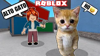 ¡EL GATO EN MURDER MYSTERY 2! 🙀 / MICHI ROBLOX