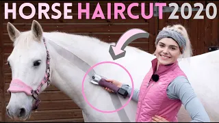HORSE HAIRCUT 2020 | Clipping my horse MYSELF! AD Again! Oh Dear.. | This Esme