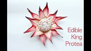 Protea Flower Cake Topper Tutorial