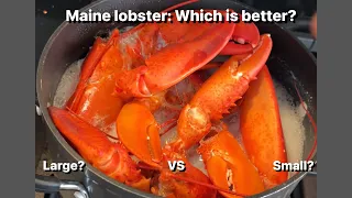 Maine lobster: LARGE vs small? Which is better?!