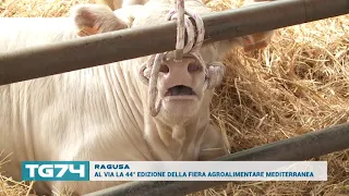 RAGUSA, INAUGURATA LA 44° FAM