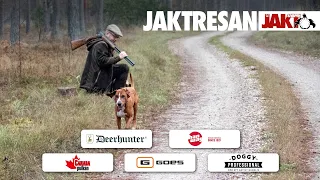 Jaktresan: Har- och rävjakt på Gotland