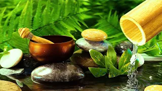 Bamboo Fountain Water Sounds for Soothing the Mind and Comfort with Piano Music