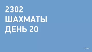 2302 - Шахматы - день 20