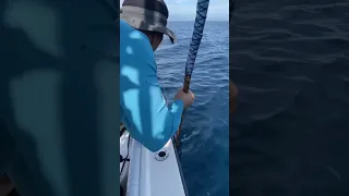Catching a big bluefin tuna on Nomad Madmacs 200 in Southern California