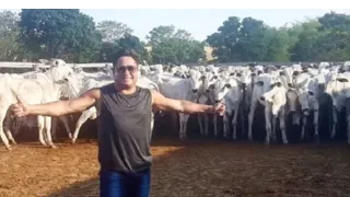 Leonardo mostrando sua MEGA FAZENDA de confinamento em Goiás