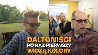 Daltoniści po raz pierwszy widzą kolory