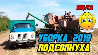 УБОРКА ПОДСОЛНУХА 2019 | HARVESTING UKRAINE