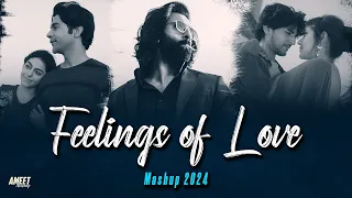 Feelings of Love Mashup 2024 | Best of Love Romantic Mashup