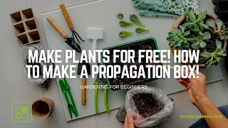 Make Plants For Free! How To Make A Propagation Box!