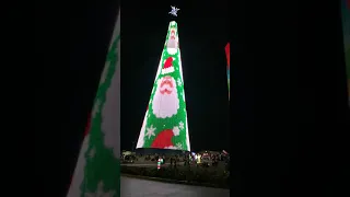 Barranquilla el Árbol de navidad más grande de Colombia