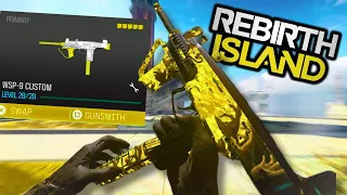 This CUSTOM made SMG Destroys in (Warzone) on REBIRTH ISLAND ! 👑 (WSP 9) - No Commentary Gameplay