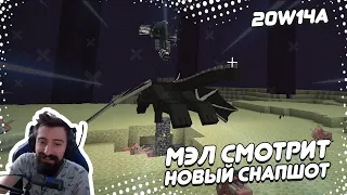 🐷 МЭЛ СМОТРИТ НОВЫЙ СНАПШОТ | 20w14a | #7