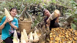 A life of bamboo shoots. Best time of year to harvest and store bamboo shoots.