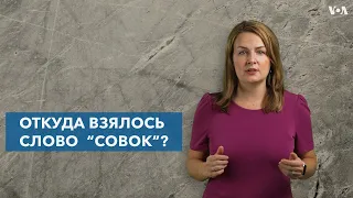 Откуда взялось слово “совок”?