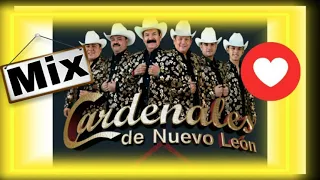 Cardenales de Nuevo Leon Mix