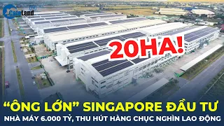 "Ông lớn" Singapore đầu tư nhà máy 6.000 tỷ, thu hút 14.000 lao động ở Hải Dương? | CafeLand