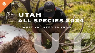 How to Go Hunting in Utah | All Species