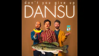 DANSU - DON'T YOU GIVE UP (official audio)