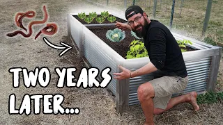 Two year RAISED BED update! Does Hügelkultur work?