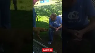 Dog Doesn't Recognize It's Owner...Until He Sniffs Him😍😩 #Shorts (READ DESCRIPTION)