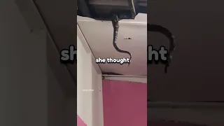 This Girl Thought She Had a Snake in Her Ceiling.. 😨