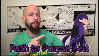 BJJ: Path to Purple Belt