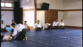 Aikido Sensei R. Moon: One System