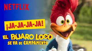 Tome su like | El Pájaro Loco se va de campamento | Netflix